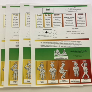 4 notebook sized MPAS posters