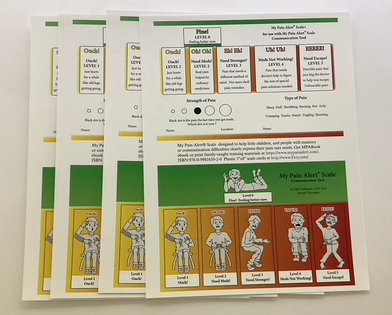 4 notebook sized MPAS posters